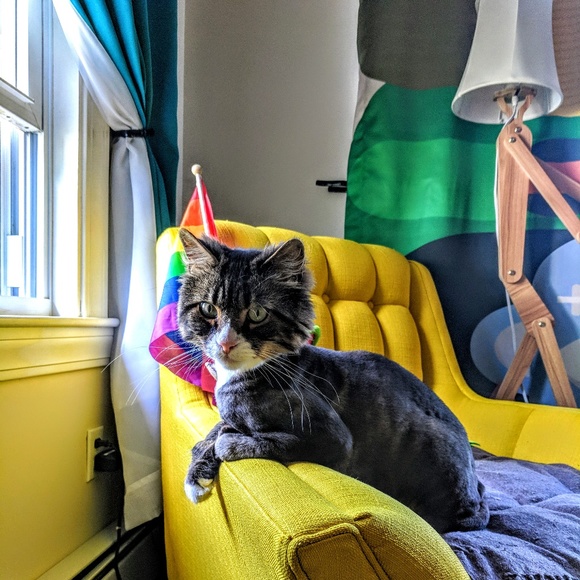 Meet your Posher, Kelly - Picture 2 of 7